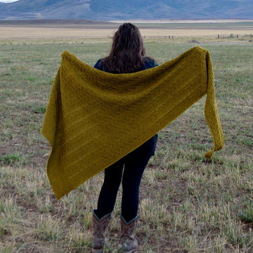 Mariah Shawl