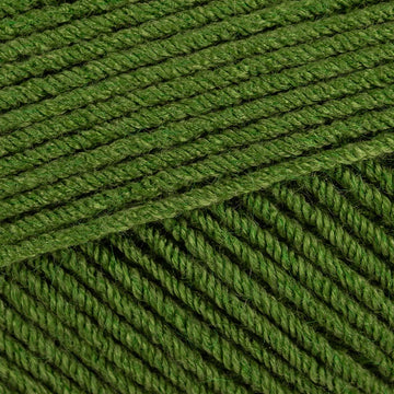 Fir (70012)