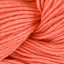 Coral (3473)