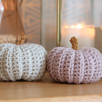 Autumn Pumpkin
