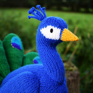 Norman the Peacock