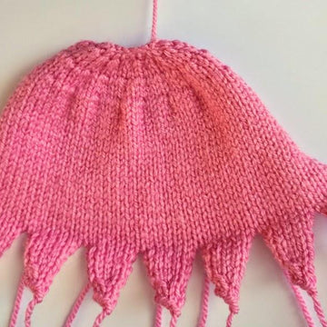 Pearl the Flapjack Octopus
