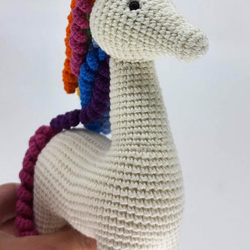 Rainbow unicorn