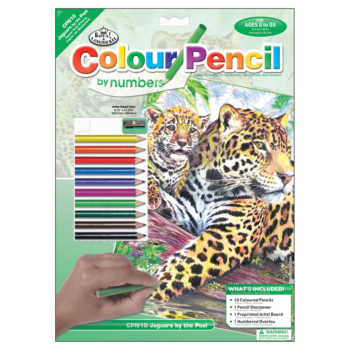 Royal Brush Color Pencil By Number Kit 8.75"X11.75" - Jaguar Family