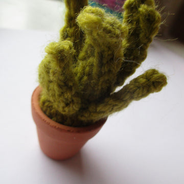 Mini Plants in Pots