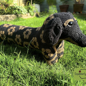Desmond the African Flower Dachshund Dog
