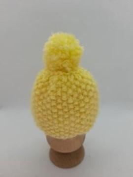 Egg Cosy