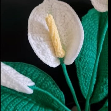 Crochet Peace Lily flowers