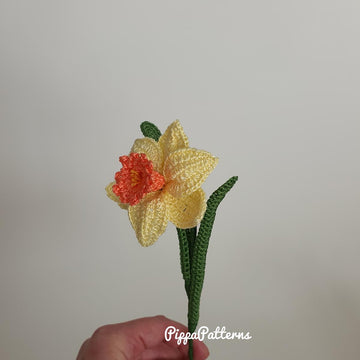 Mini Daffodil