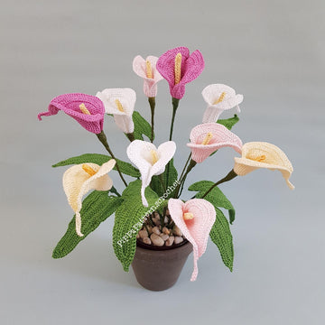 Calla Lily