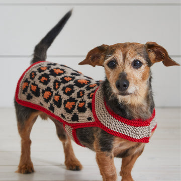 Leopard Pooch - Dog Coat Knitting Pattern For Pets in Debbie Bliss Rialto Aran by Debbie Bliss