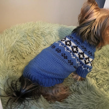 Yoke Dog Sweater