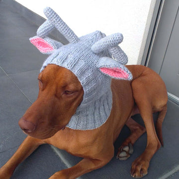 Reindeer Dog Hat with a Tassel