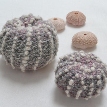 Sea Urchin Shell