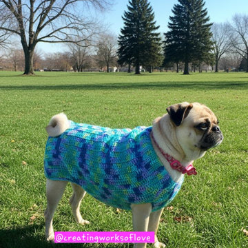 Sissy's Dog Sweater