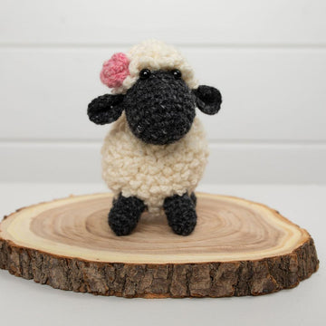 Sheep Mr and Mrs