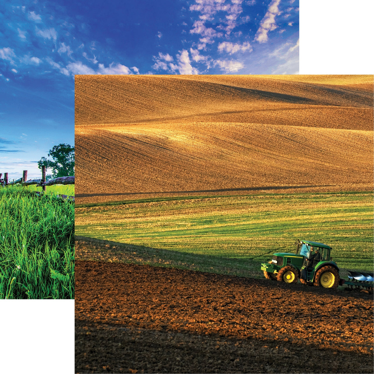 Reminisce In The Field Double-Sided Cardstock 12"X12" 25/Pkg - Spring