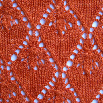 Mandarin Lace Shawl