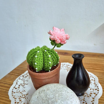 Cactus plant with flower