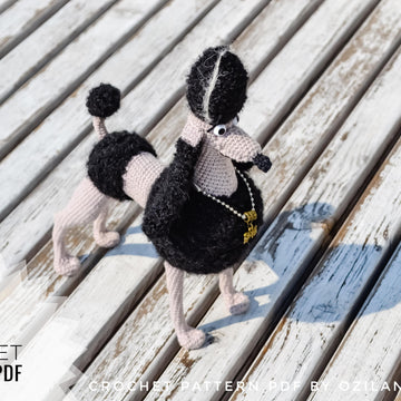 Black Persephone the poodle dog