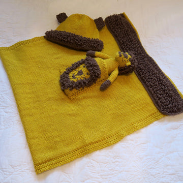 Lion Baby Car Seat Blanket Hat & Toy