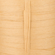 Desert Palm