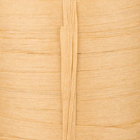 Desert Palm
