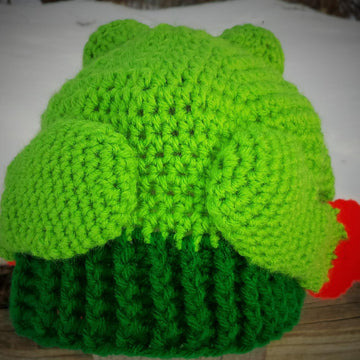Hoppy Happy Frog Hat