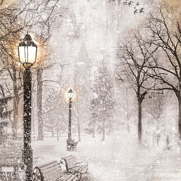 Ciao Bella Rice Paper Sheet A4 5/Pkg - First Fall Of Snow, Snow & The City