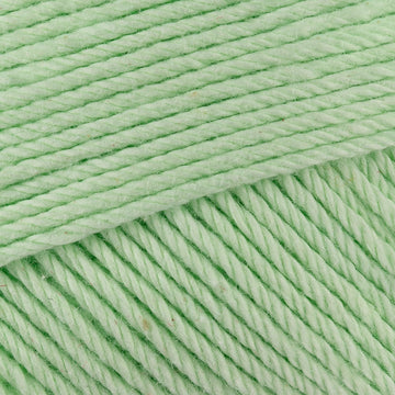 Pastel Green (485)