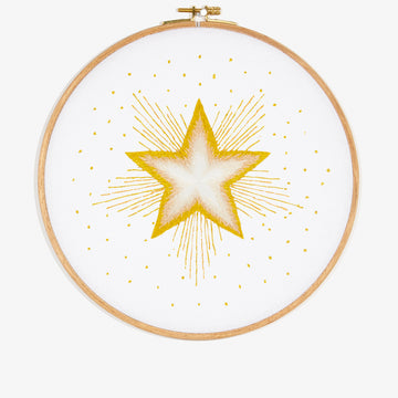 The North Star in DMC - PAT0850 - Downloadable PDF