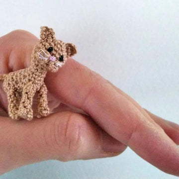 Miniature kitten
