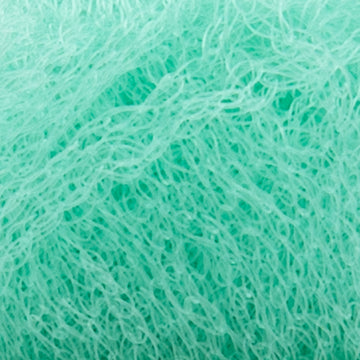 Cabbage (156Q)