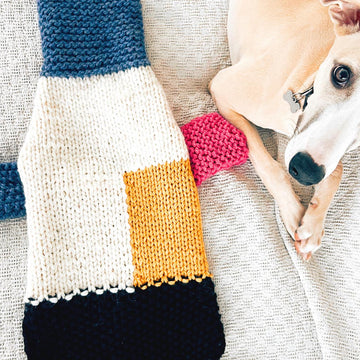 Doggo no 5 sweater