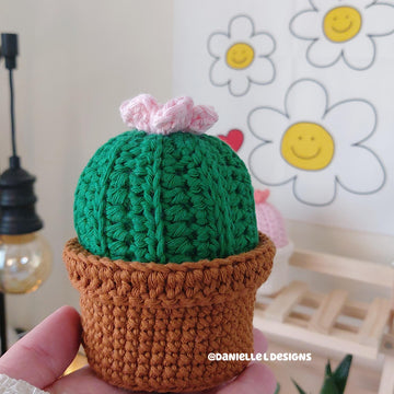 Cactus pin cushion with storage box