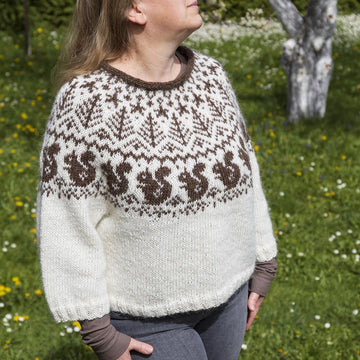 SQUIRREL Icelandic Lopapeysa Sweater for Adults and Kids
