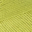 Green Yellow (245)