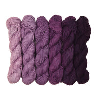 Heliotrope (MOK147)