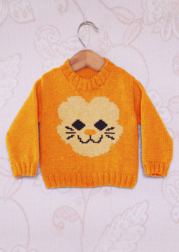 Intarsia - Lion Face Chart - Childrens Sweater