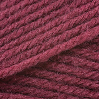 Antique Rose (143)
