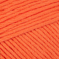 Carrot (7181)