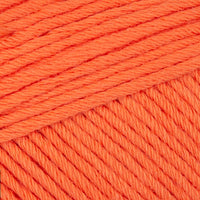 Carrot (7181)