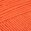 Carrot (7181)