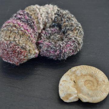 Ammonite