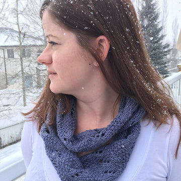 Through The Blizzard