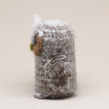 Bubu the owlet
