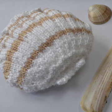 Scallop Shell