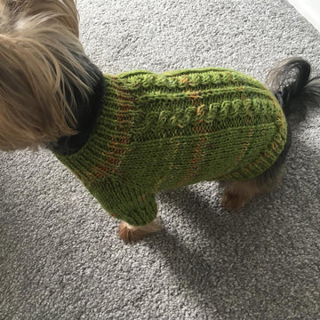 Plum Dog Sweater