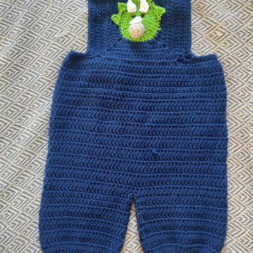 Dino Dungaree Overalls