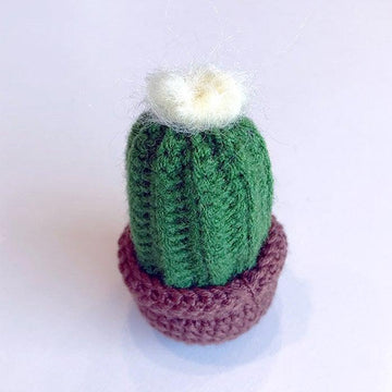 Cactus in a pot crochet , Cactus Amigurumi,